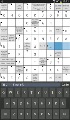 Crosswords android App screenshot 12